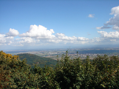 HAUT KOENIGSBOURG - Vue depuis le chateau sur la plaine d'alsace - Photo BERTHEVILLE